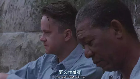 有哪些年轻人该看的优秀电影（盘点十部一定要趁年轻看的电影）