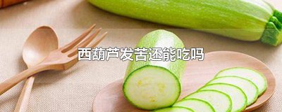​西葫芦发苦可以吃吗 发苦的西葫芦能吃吗,为什么