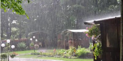 ​下雨前动物的反应有哪些（下雨前的征兆）
