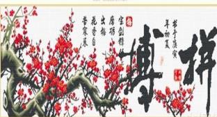配图