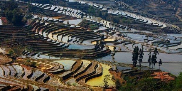 配图