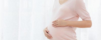 ​奉子成婚什么意思