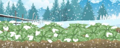 ​积雪化得快的是什么方向