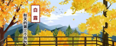 ​白露适合种什么菜
