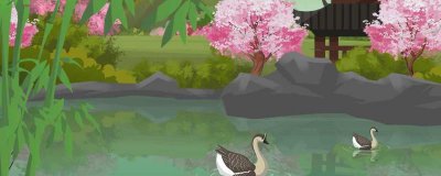 ​水浑浊怎样快速变清