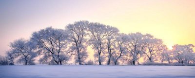 ​大雪节气古诗