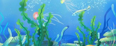 ​水生植物有哪些分类