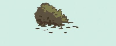 ​铁观音的冲泡方法
