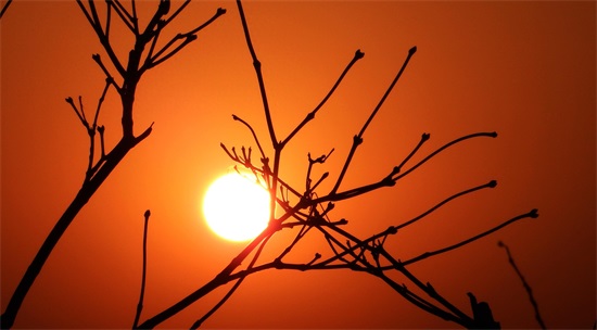 西边的太阳，就要落山了