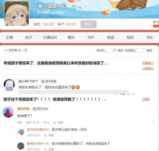 ​她！终于要回来了-一条小团团预计年前复播