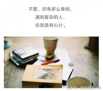 ​阿尔及利亚和奈及利亚有什么关系吗