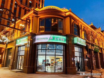​宠物店一年的利润怎么样？