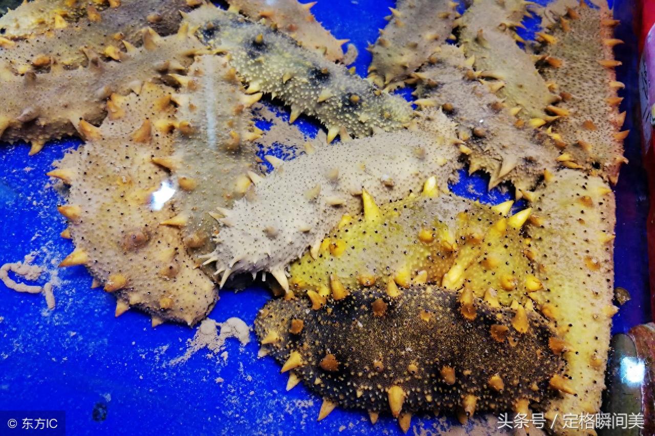 走进青岛最大的海鲜零售市场 琳琅满目的海鲜 让吃货们看了就嘴馋