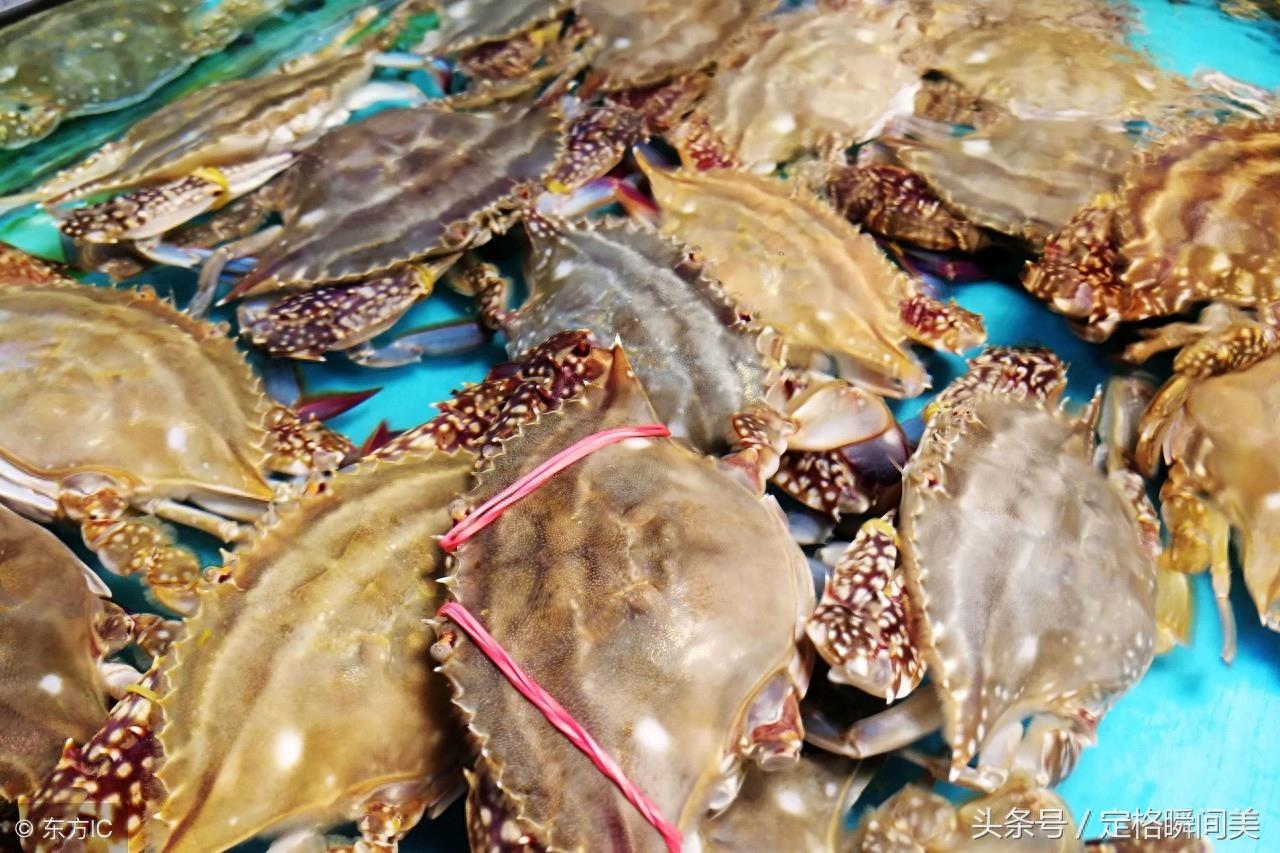 走进青岛最大的海鲜零售市场 琳琅满目的海鲜 让吃货们看了就嘴馋