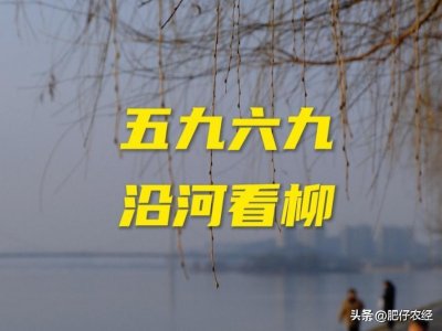 ​今日五九！老话说“就怕五九一日晴”啥意思？有何说法？答案来了