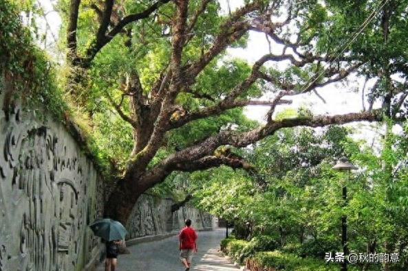 广西桂林兴安灵渠，是世界上最古老的运河之一，著名景点：水街