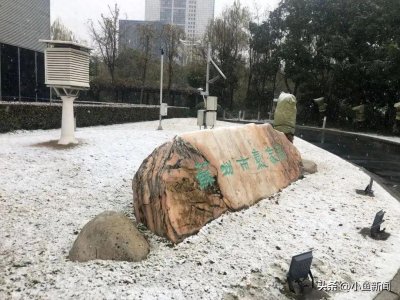 ​今天下雪啦！雨雪将持续至明天