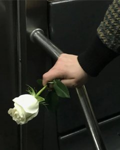 ​高干文，《恋爱吧，女明星》《墨色妆扮》