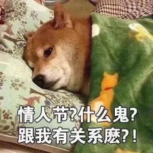 ​情人节表情包