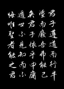 ​（夏云）鸢飞戾天，鱼跃于渊-儒家经典《中庸》手抄（二）