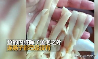 ​湖北女子从鱼腹中掏出“宽面条”！它能阉割鱼，还操纵鱼“自杀”