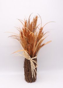 ​麦穗的花语和寓意