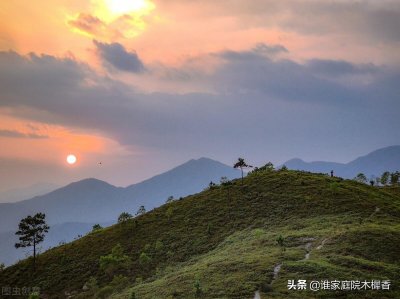 ​明代才子杨慎的这首临