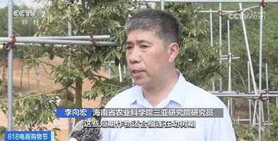 ​首批国产榴莲本月上市，金枕榴莲大降价！“10元3斤”不远了？专家预判价格区