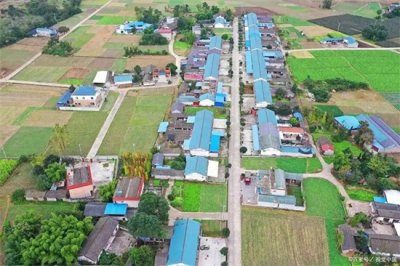 ​根据2025年山东省“合村