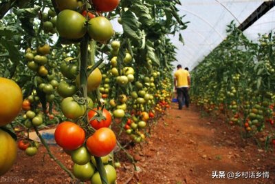 ​哪些肥料是氮肥、磷肥