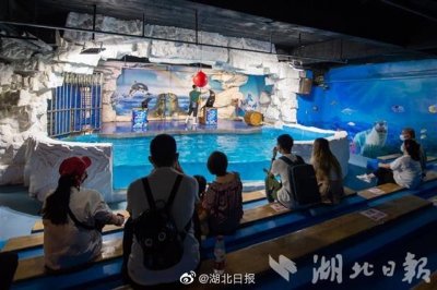 ​武汉东湖海洋世界恢复