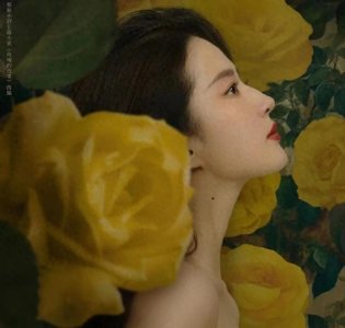 ​玫瑰的故事：黄亦玫凭什么特自信？你看她父亲的一段话就明白了