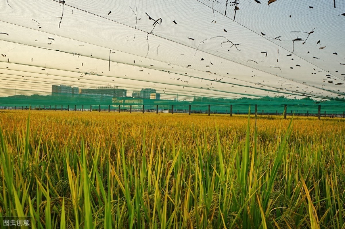 广东美丽景点旅游照片合集