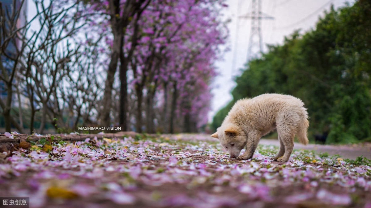广东美丽景点旅游照片合集
