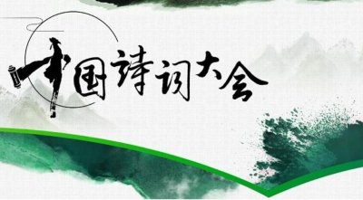 ​《诗词大会》冠军陈更，北大博士6年未毕业，佩服她活出自我