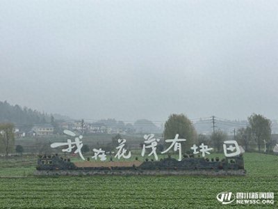 ​花繁叶茂！每年近百万