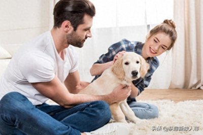 ​顺丰宠物快递大揭秘：