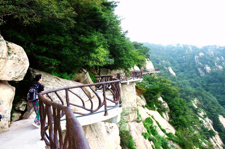 4.蒙山国家森林公园