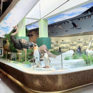 4、水鸟博物馆