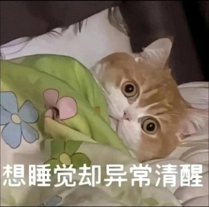 ​分享：失眠搞怪·表情包·图片