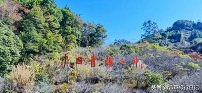 ​一月的陆河，梅花盛开