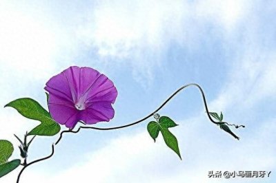 ​《千字文》全文注音版