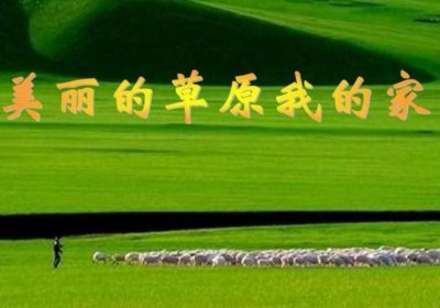 ​《美丽的草原我的家》歌词是什么（美丽的草原我的家歌词是什么）