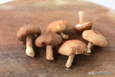 ​新鲜香菇如何保存？这四种方法可以帮助到你