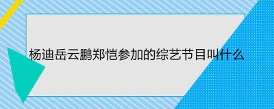 ​杨迪岳云鹏郑恺参加的综艺节目叫什么