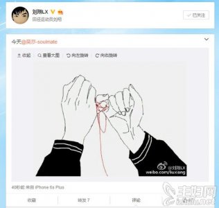 ​刘翔离婚内幕曝光 吴莎疑小三是真的吗