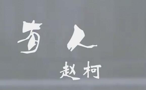 有人浪迹江湖有人寒窗苦读是什么歌