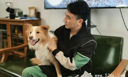 林生斌包养小三事件是真的吗 现任妻子小乐知三当三背后深挖