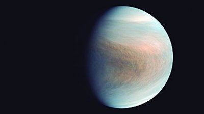 ​金星存在生命信号（金星上出现生命）