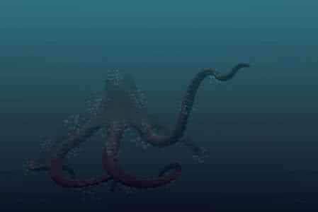 章鱼捕食鲨鱼为生(太平洋巨型章鱼周长9米)